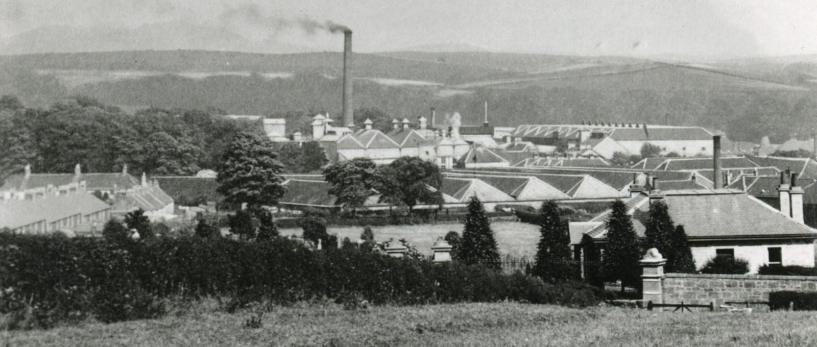 Strong foundations: The history of Diageo precursor Distillers Company Limited