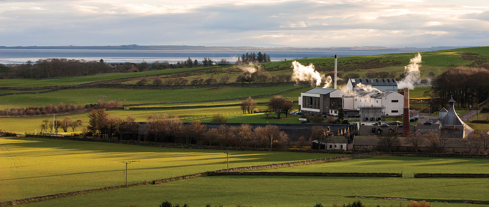 "A Scotch for all palates": The diverse whisky landscape of the Scottish Highlands