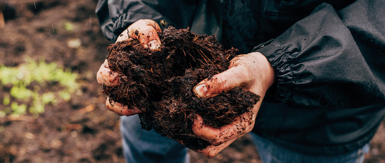The push for peat sustainability
