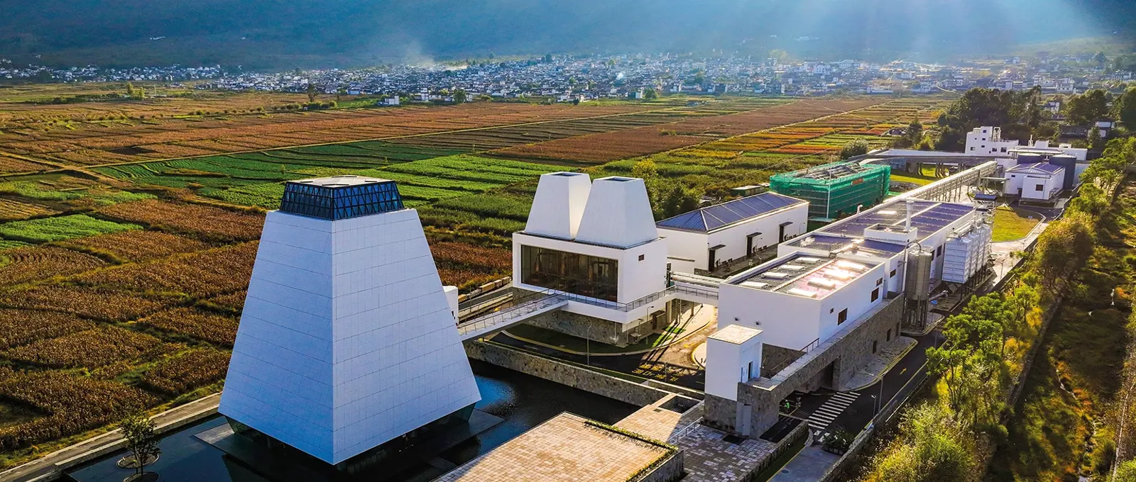 How China is emerging as a whisky-producing powerhouse